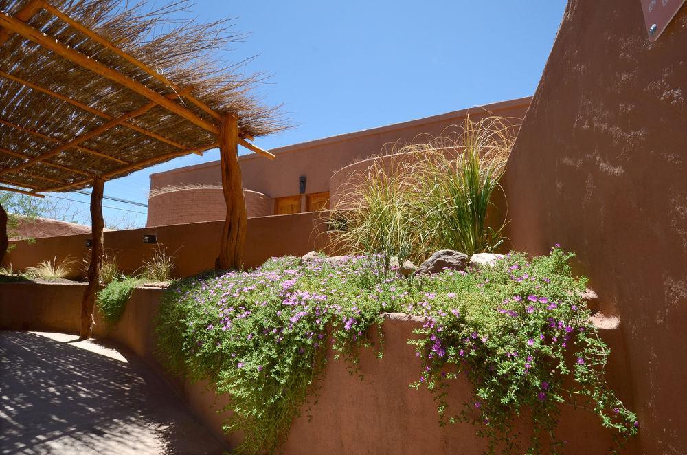 Hotel Pascual Andino San Pedro De Atacama Zewnętrze zdjęcie